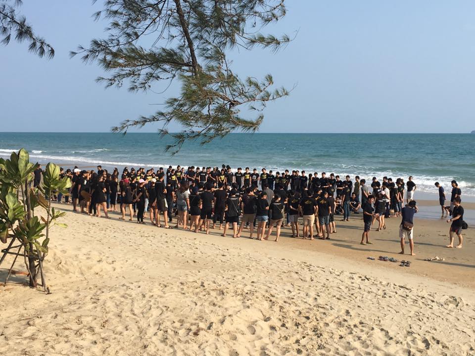 17309453 910453289057108 4275676469508585341 n